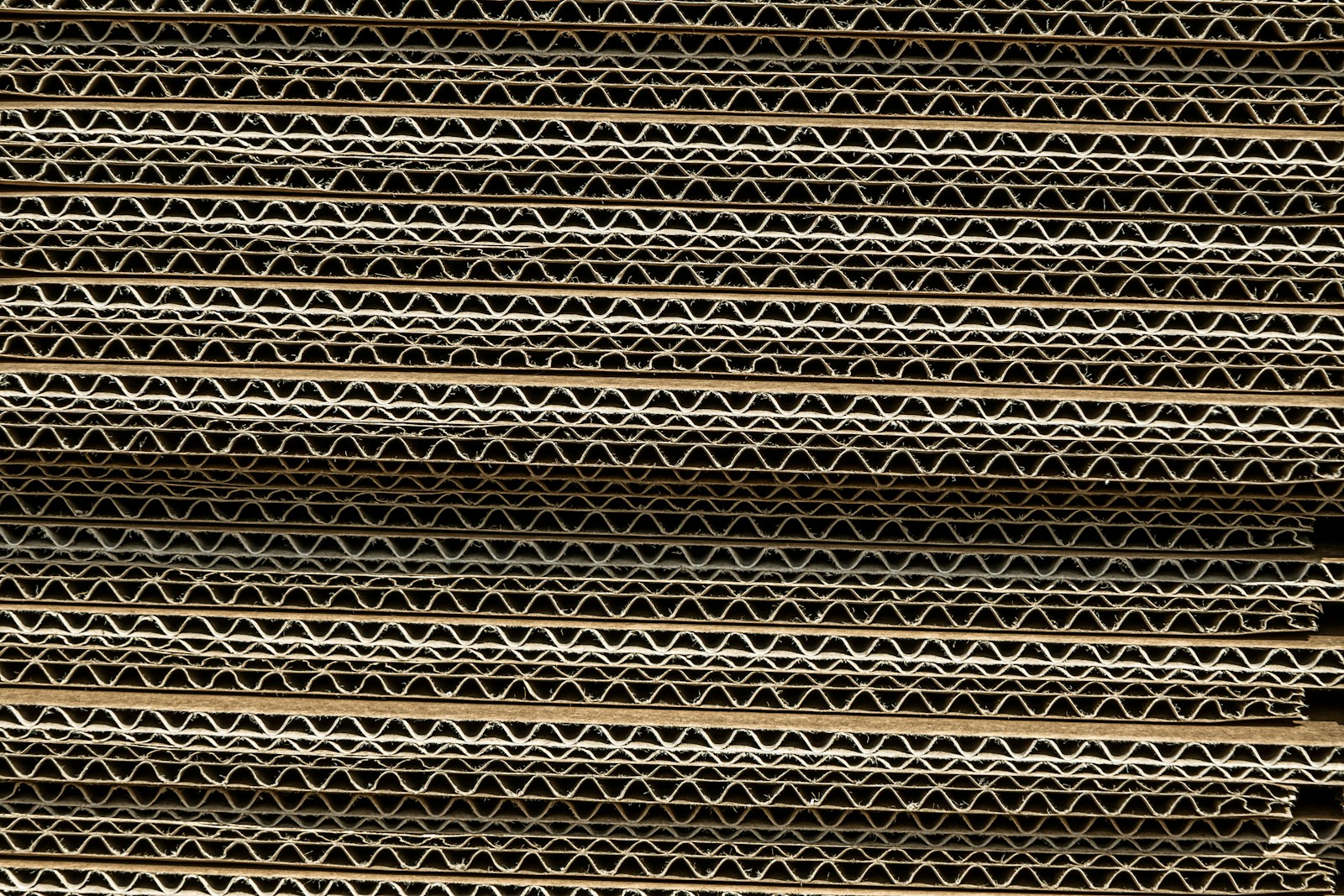 Alliance for Fibre-Based Packaging launches ahead of UK recycling overhaul
